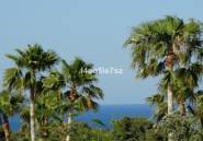 Resale - land -
Jávea - Xàbia - Pinosol