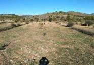 Reventa - land -
Relleu - Relleu Centro