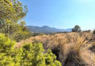 Használt ingatlanok - land -
La Romana - La Romana Centro