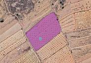 Resale - land -
Pinoso - Pinoso Centro