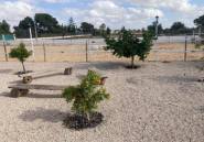 Resale - country house -
Crevillente - Crevillent - Crevillente - Crevillent Centro