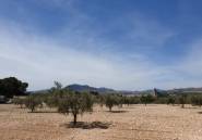 Használt ingatlanok - land -
Sax - Sax Centro