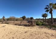 Reventa - land -
Algorfa - Algorfa Centro