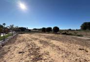 Reventa - country house -
Algorfa - Algorfa Centro