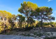 Reventa - land -
Teulada - Teulada Centro