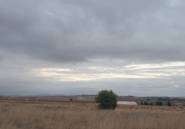 Használt ingatlanok - land -
Pinoso - Pinoso Centro