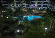 Winter rental - Apartment / flat -
Orihuela Costa - Playa Flamenca