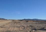 Resale - land -
Pinoso - Pinoso Centro