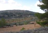 Használt ingatlanok - land -
Pinoso - Pinoso Centro