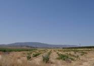 Resale - land -
Pinoso - Pinoso Centro