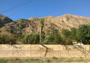 Resale - country house -
Orihuela - Orihuela Centro