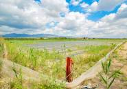 Resale - country house -
San Isidro - San Isidro Centro