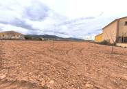 Használt ingatlanok - land -
Pinoso - Pinoso Centro