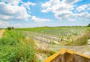 Resale - country house -
San Isidro - San Isidro Centro