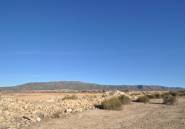 Resale - land -
Pinoso - Pinoso Centro