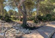 Reventa - land -
Villajoyosa - La Cala