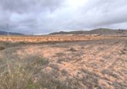 Resale - land -
Jalón - La Solana