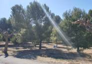 Használt ingatlanok - land -
Beneixama - Benejama - Beneixama - Benejama Centro