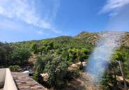 Használt ingatlanok - country house -
Pego - Pego Centro