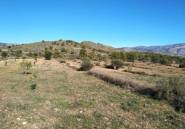 Reventa - land -
Relleu - Relleu Centro