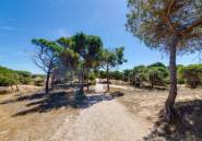 Reventa - Apartamento / piso -
Guardamar del Segura - Pinomar