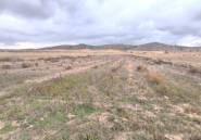 Reventa - land -
Jalón - La Solana