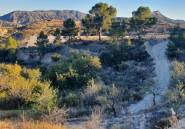 Resale - land -
Relleu - Relleu Centro