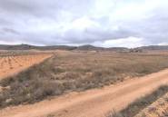 Resale - land -
Jalón - La Solana