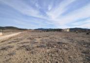 Használt ingatlanok - land -
Pinoso - Pinoso Centro