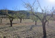 Resale - land -
Villena - Villena Centro