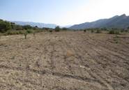 Reventa - land -
Relleu - Relleu Centro