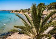 Winter rental - Apartment / flat -
Orihuela Costa - Punta Prima