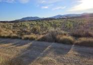 Resale - land -
Elda - Elda Centro