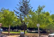 Resale - Apartment / flat -
Torrevieja - Torrevieja Centro