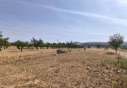 Reventa - land -
Monóvar - Monòver - Monóvar - Monòver Centro