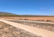 Resale - land -
Pinoso - Pinoso Centro