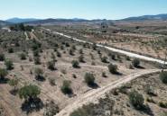 Resale - land -
Pinoso - Pinoso Centro