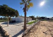 Reventa - land -
Algorfa - Algorfa Centro