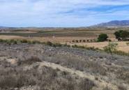 Használt ingatlanok - land -
Pinoso - Pinoso Centro