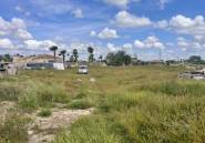 Reventa - land -
Catral - Catral Centro