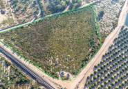 Resale - land -
Crevillente - Crevillent - Crevillente - Crevillent Centro