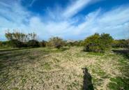 Resale - Villa -
Benejúzar - Benejuzar Centro