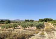 Resale - land -
Monóvar - Monòver - Monóvar - Monòver Centro