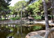 Resale - land -
Guardamar del Segura - Guardamar del Segura Centro