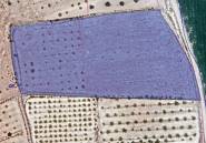 Resale - land -
Pinoso - Pinoso Centro