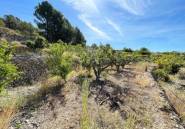 Resale - land -
Callosa d'en Sarria - Callosa d'en Sarria Centro