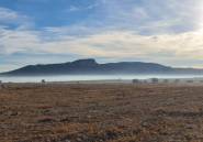 Resale - land -
Monóvar - Monòver - Monóvar - Monòver Centro