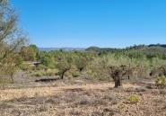 Resale - land -
Monóvar - Monòver - Casas del Señor