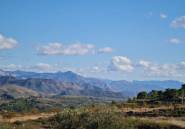 Reventa - land -
La Romana - La Romana Centro