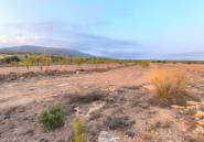 Resale - land -
Pinoso - Pinoso Centro